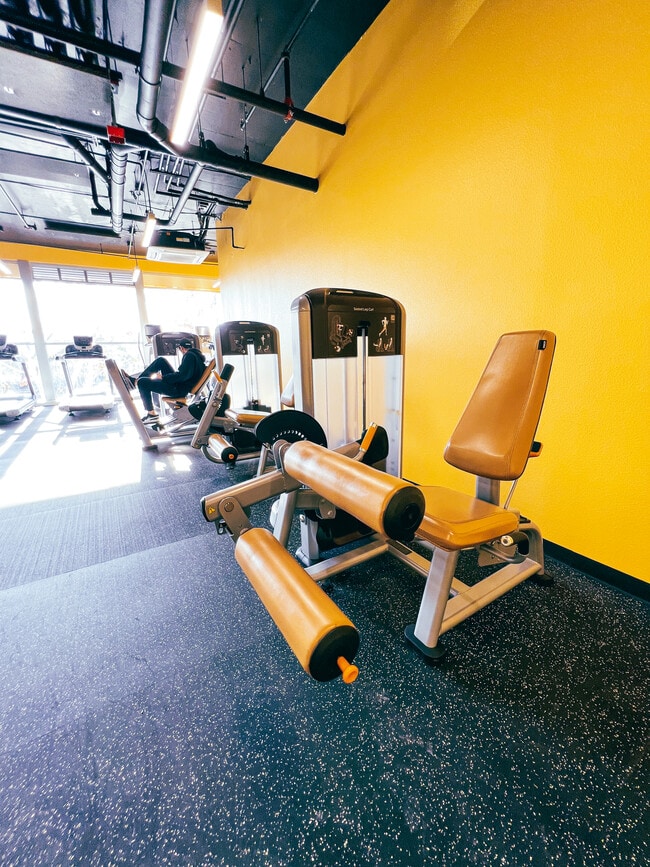 Gym - Everything you need for a full workout