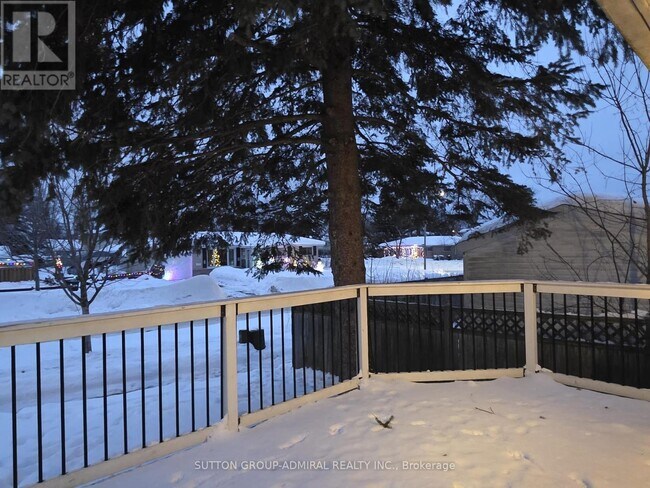 Photo - 31 Jeffrey St