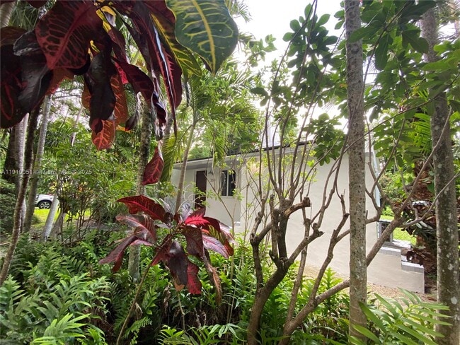 Photo - 350 Hibiscus Dr