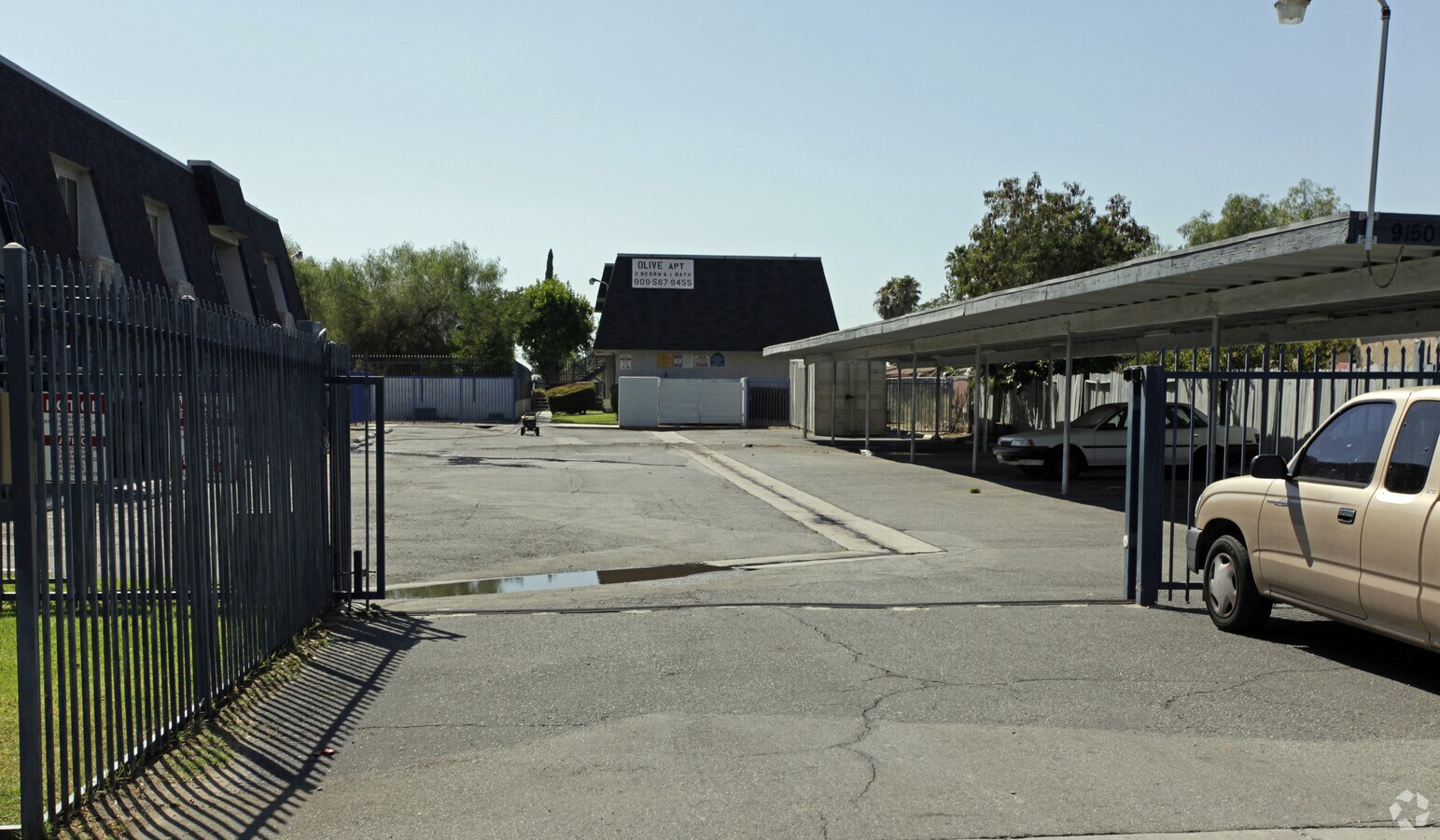 Photo - Olive Apartments