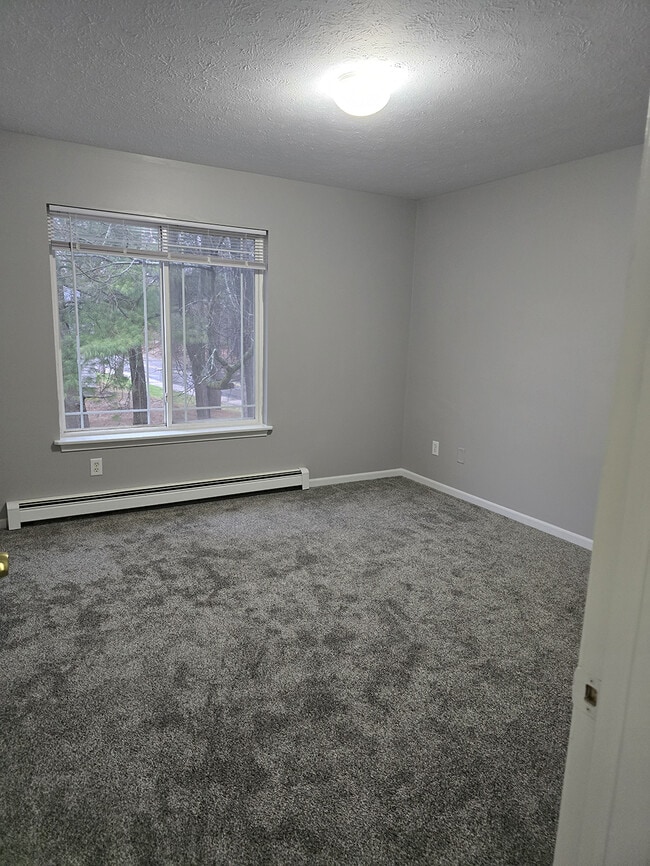 Photo - Manitou Woods