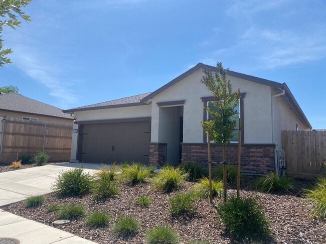 Building Photo - New Construction