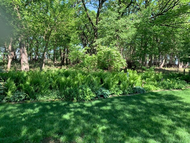 Backyard - 2714 Wentworth Dr