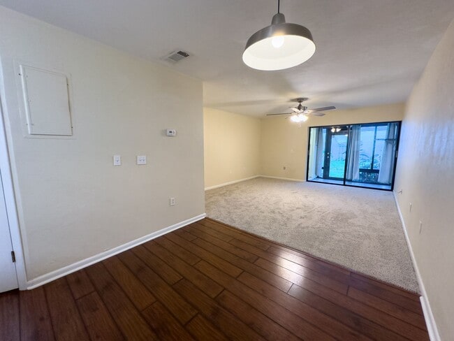 Photo - Bivens Forest #1416