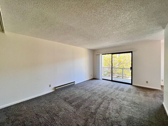 Large sunny 1 bedroom with lush courtyard ... - Large sunny 1 bedroom with lush courtyard ... Unidad D380 Rental