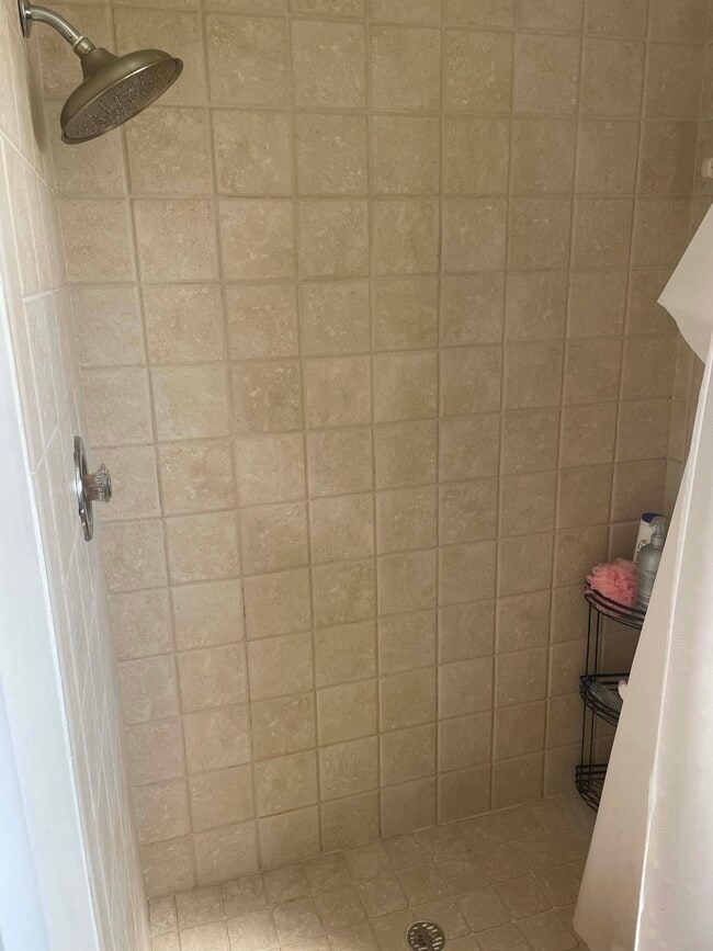 master bath shower - 2616 Woodgate Ln Unit 2616 Woodgate G