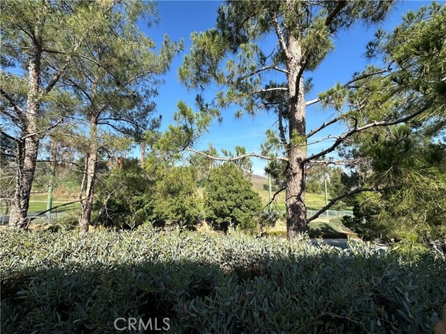 Photo - 4868 Petersen St