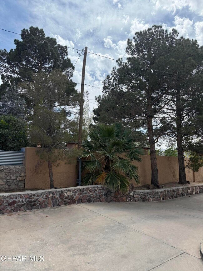 Photo - 504 E University Ave