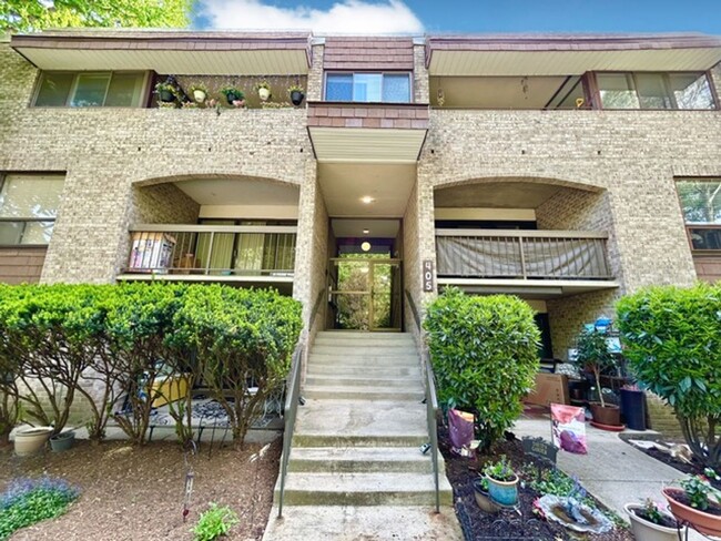 Welcome to your hidden Oasis! - Welcome to your hidden Oasis! Unidad 12 Rental