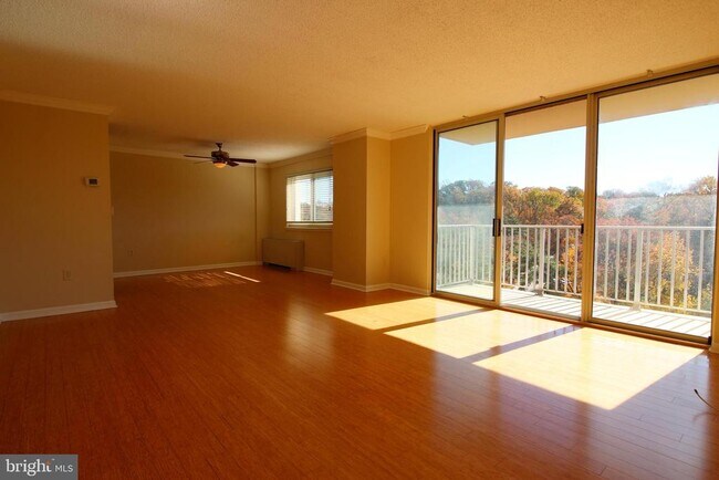 Photo - 1225 Martha Custis Dr Unidad 801