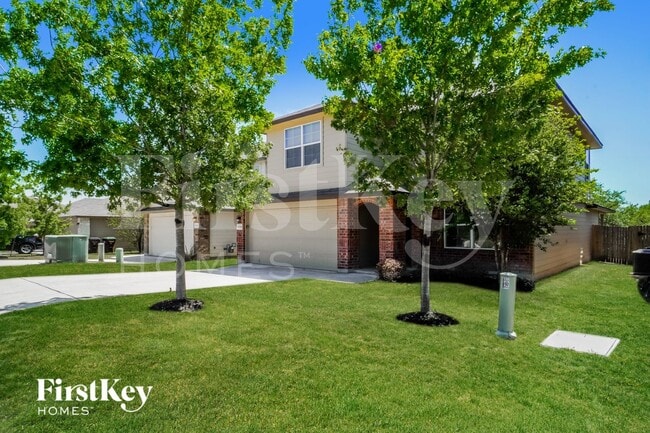 Photo - 15518 Night Heron