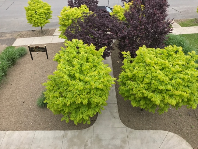 Photo - 304 Central Ave