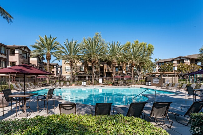 Resort-Style Swimming Pool - Meadow Square Apartment Homes