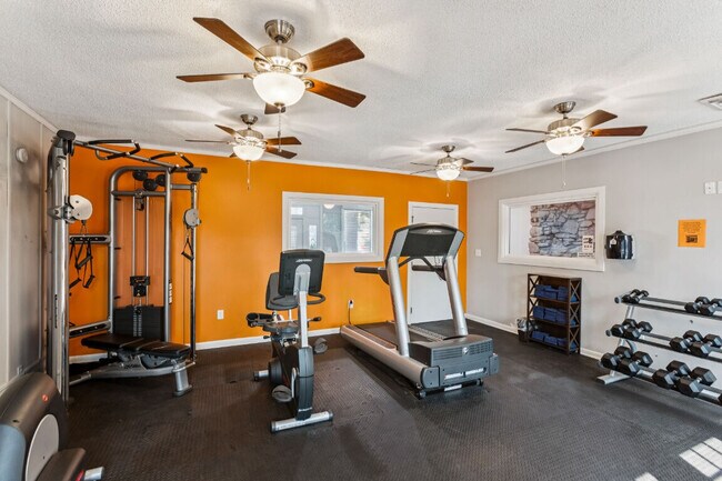 Ashford Place Apartments