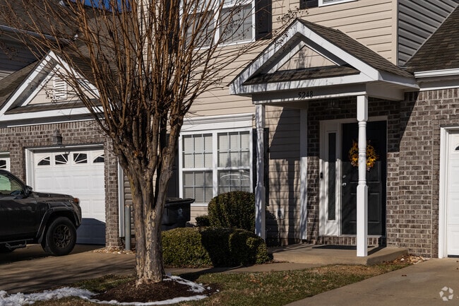 Photo - Witchduck Woods