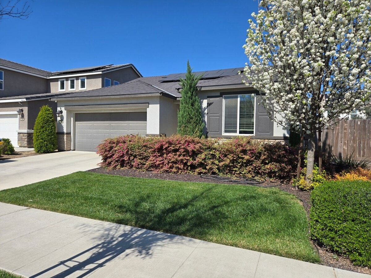 House for rent - House for rent