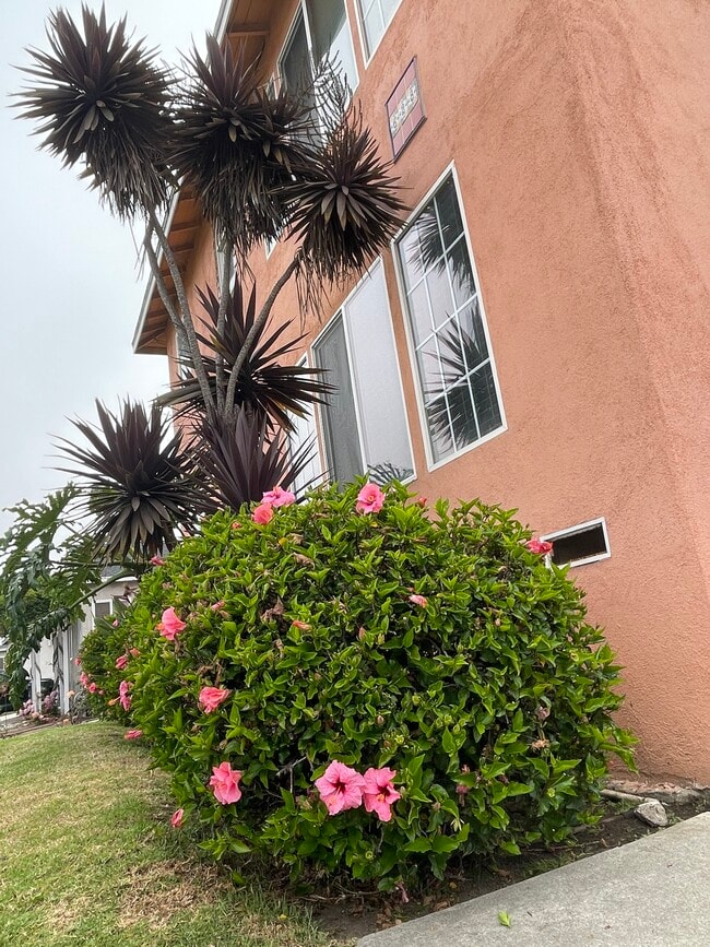 Frente - 628 S Pacific Coast Hwy Unidad B