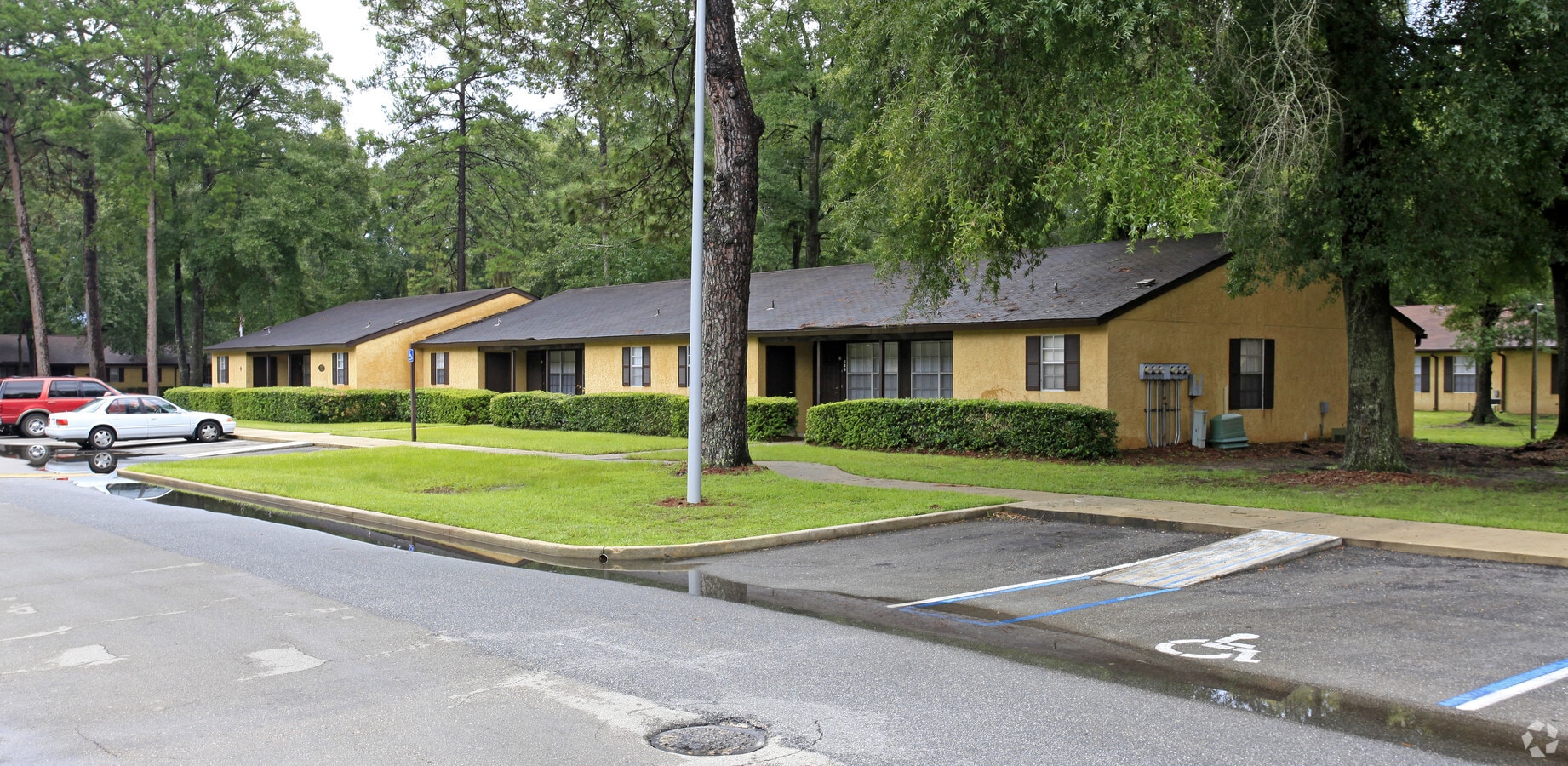 Photo - Palmetto Apartments
