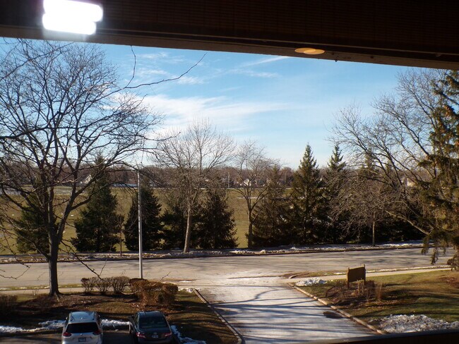 Photo - 809 S Dwyer Ave Unit 3E