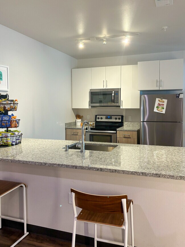 Modern Kitchen