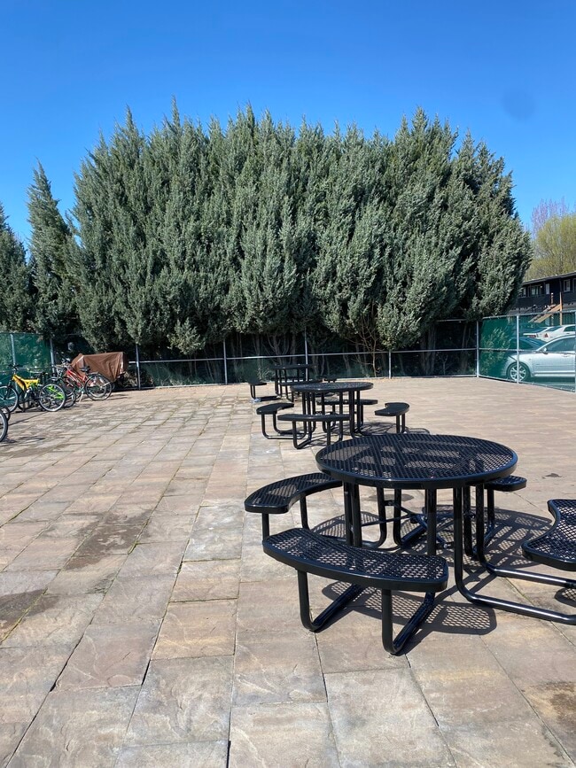 Photo - College Park