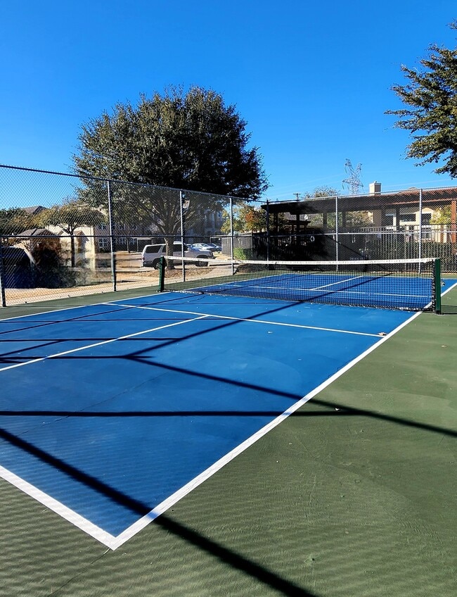 Pickleball Court