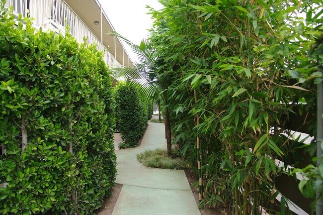 Bamboo & Winding Pathways - 2636 Kansas Ave