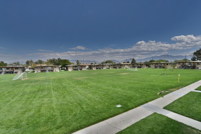 Soccer Field with Goal Posts