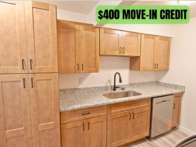 Building Photo - 3D Tour Available - Tower Grove East - Updated 1 Bedroom Unit 203