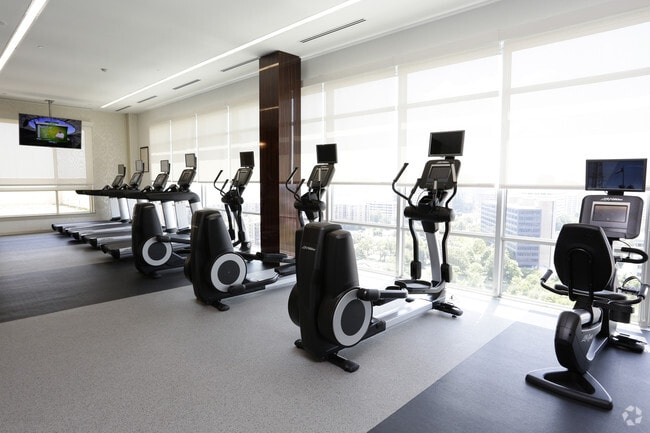 Gimnasio