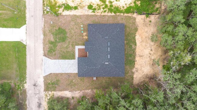 Photo - 10615 N Didiscus Dr
