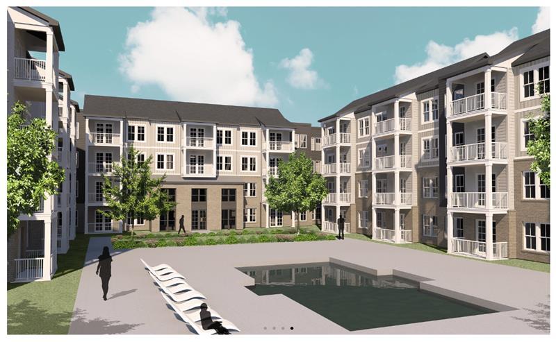 Photo - Magnolia Branch