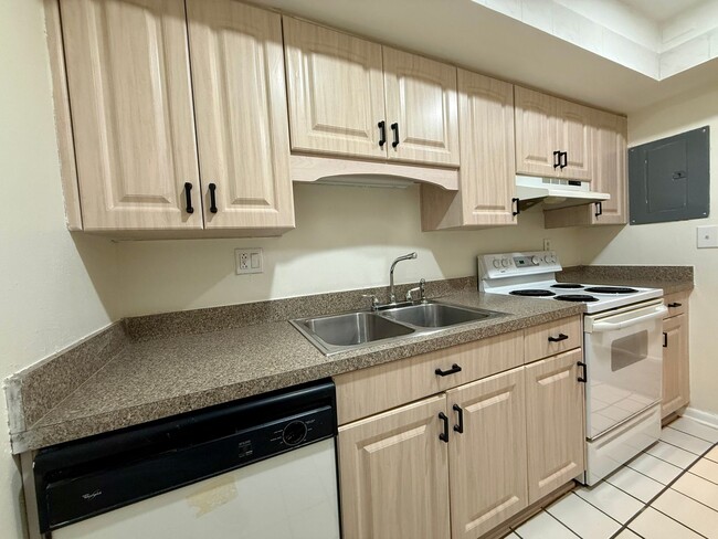 Photo - NORTH ST. PETE - locaiton location 2/2