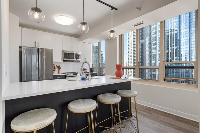 45 E Chicago Ave Unit SI FL17-ID1029597P
