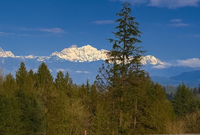 Photo - 10103 16th Pl SE