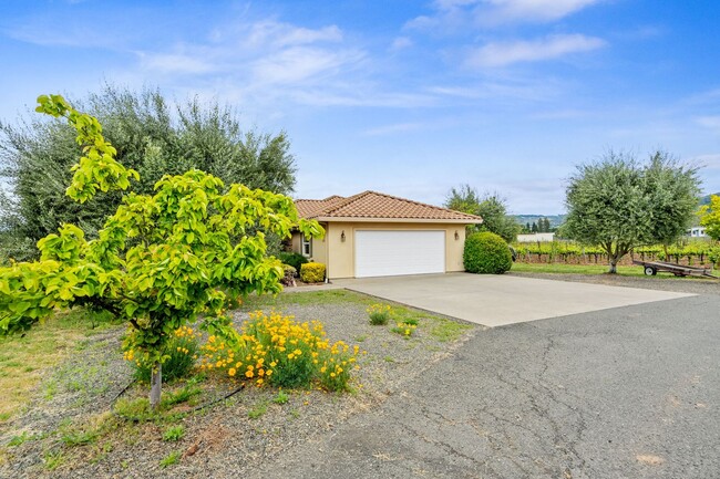 2 bdrm 2 bath ADU w/ Vineyard views - 2 bdrm 2 bath ADU w/ Vineyard views House