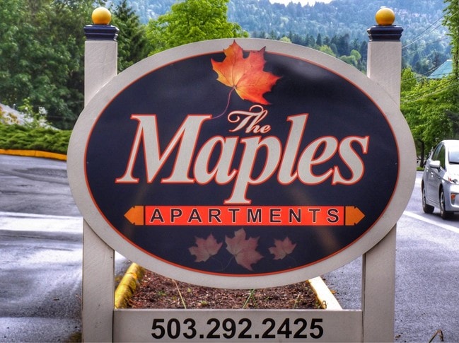 Photo - The Maples