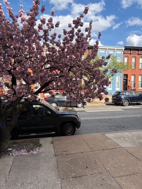 Building Photo - 420 N Collington Ave Rental