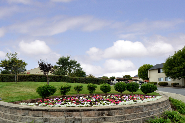 Meadow View Apartments - Meadow View Apartments