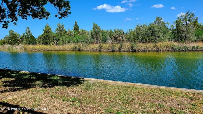 Photo - 3415 Holly Springs Dr