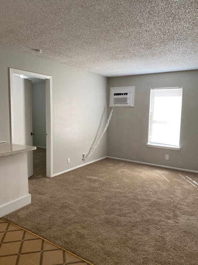 Photo - SOUTH PARK APARTMENTS Unit 101