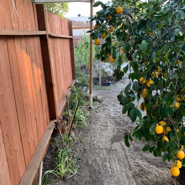 Photo - 11744 Archwood St