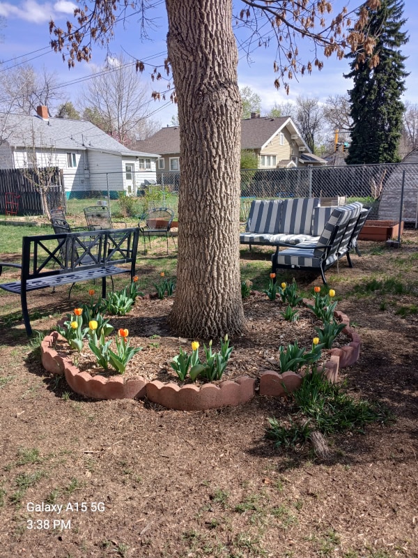 Photo - 909 Collyer St