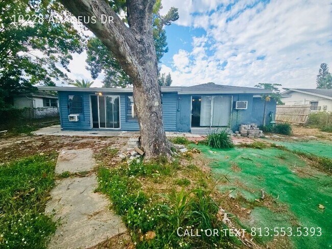 Photo - 10228 Amadeus Dr