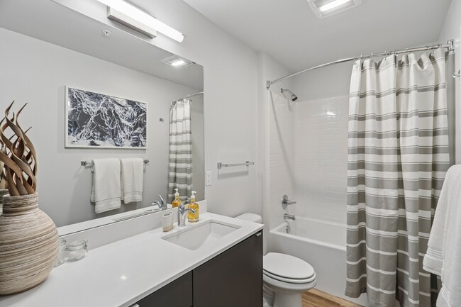 Anthology Apartments