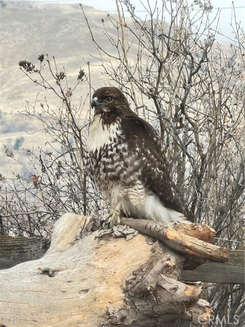 Photo - 22621 Camp Dr