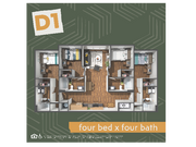 D1