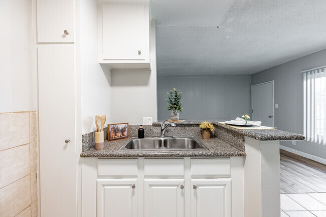 1 habitación, 1 baño - 600 pies cuadrados - Cocina
