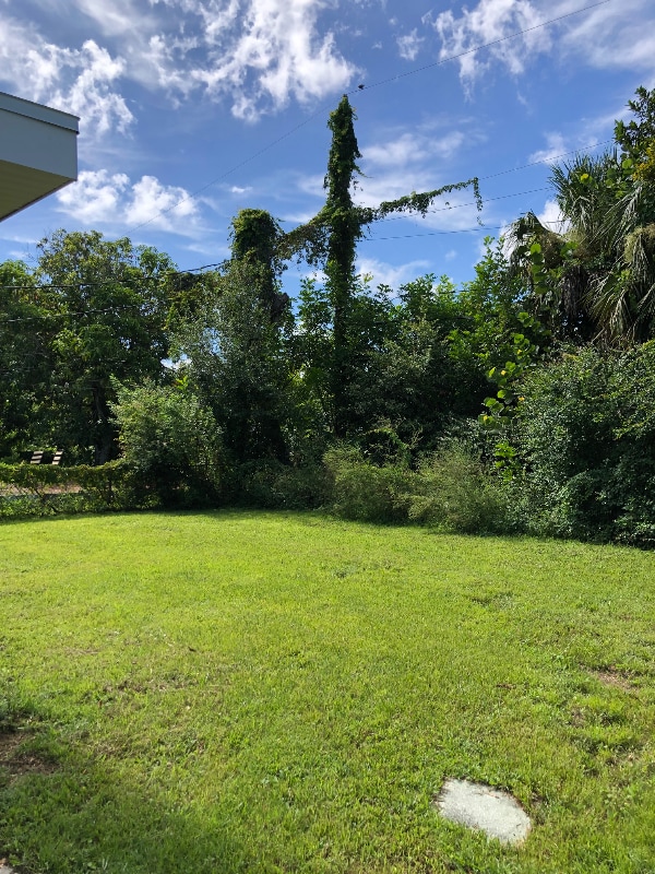 Photo - 3318 Thomas St