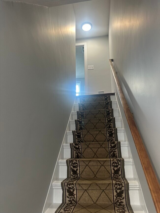 83 Taylor St